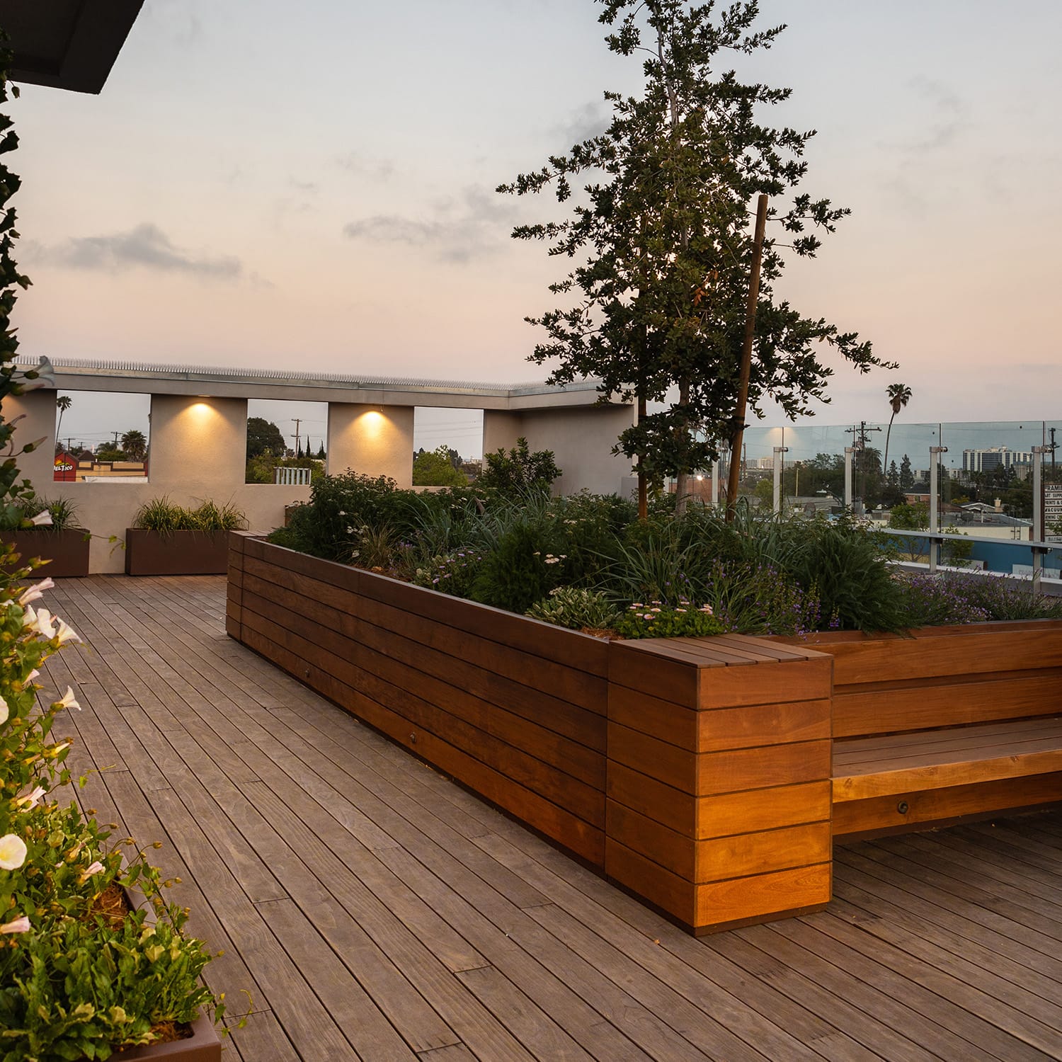 Tomat Rooftop Garden