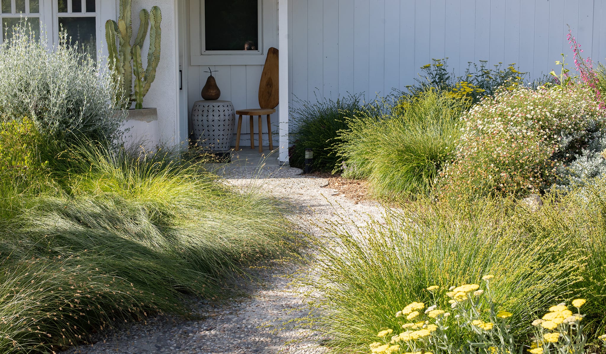 Drought-tolerant garden with stone paths and evergreen structure