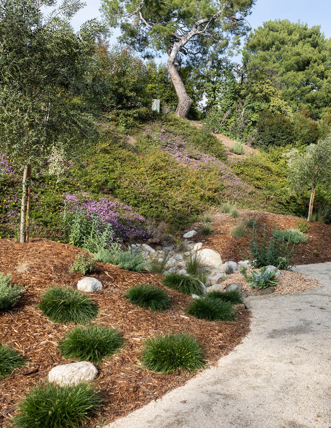 Permaculture-rooted landscape with durable materials